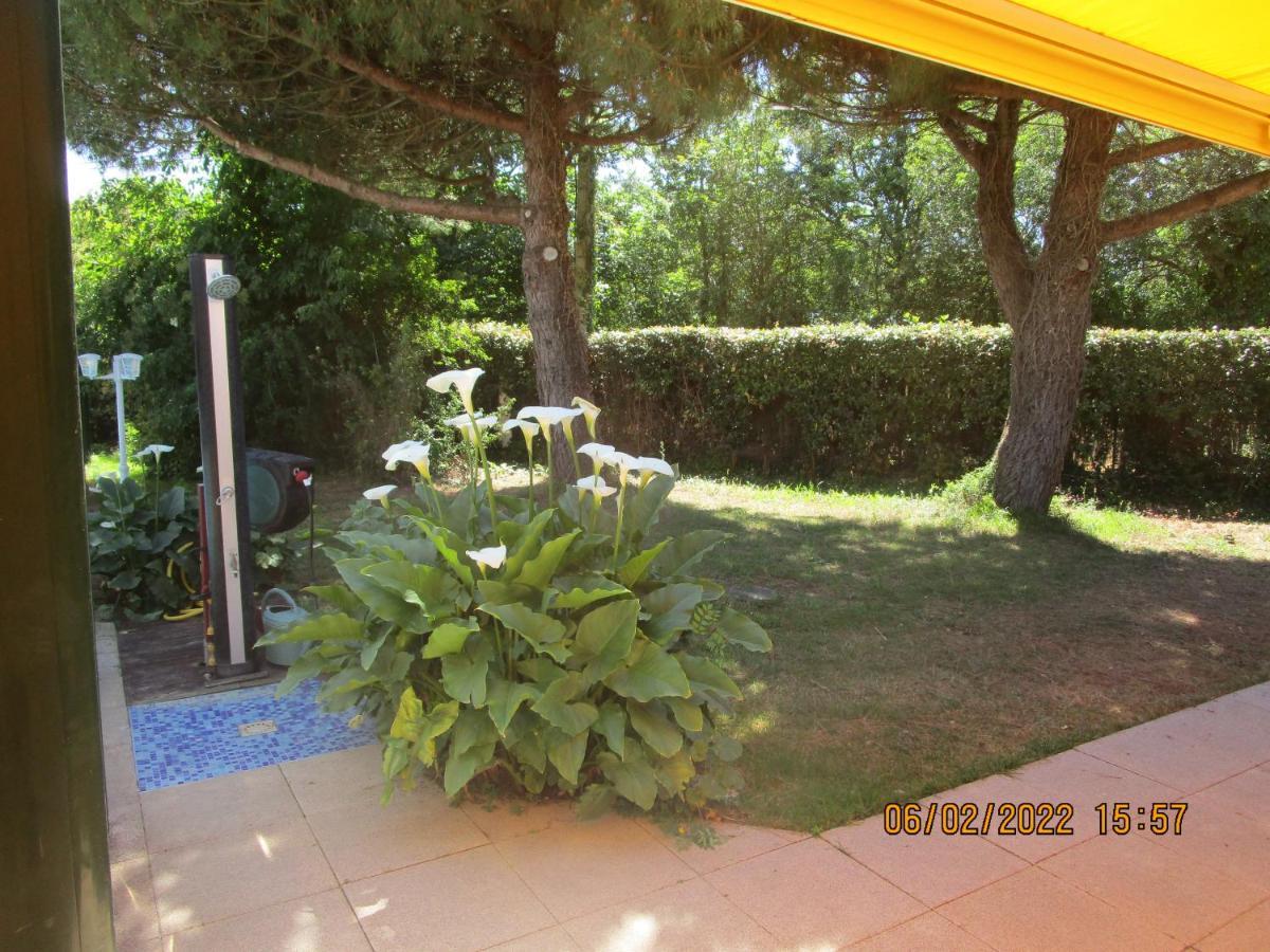 Locatlantique Bed & Breakfast Aytré Dış mekan fotoğraf